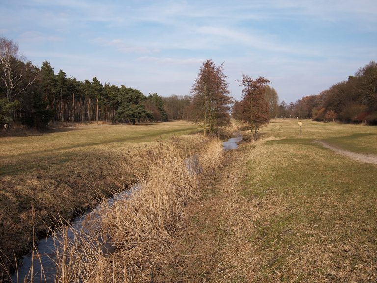 Wilde Bäche für den Landkreis Groß-Gerau