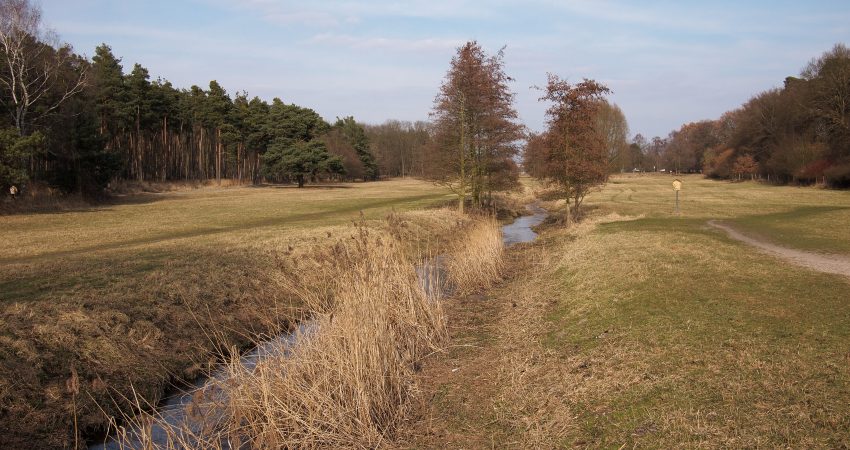 Gundbach bei Mörfelden-Walldorf