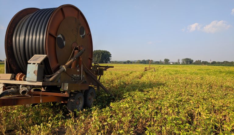 Es brennt – Hitze setzt Landwirtschaft und Wald in Groß-Gerau zu