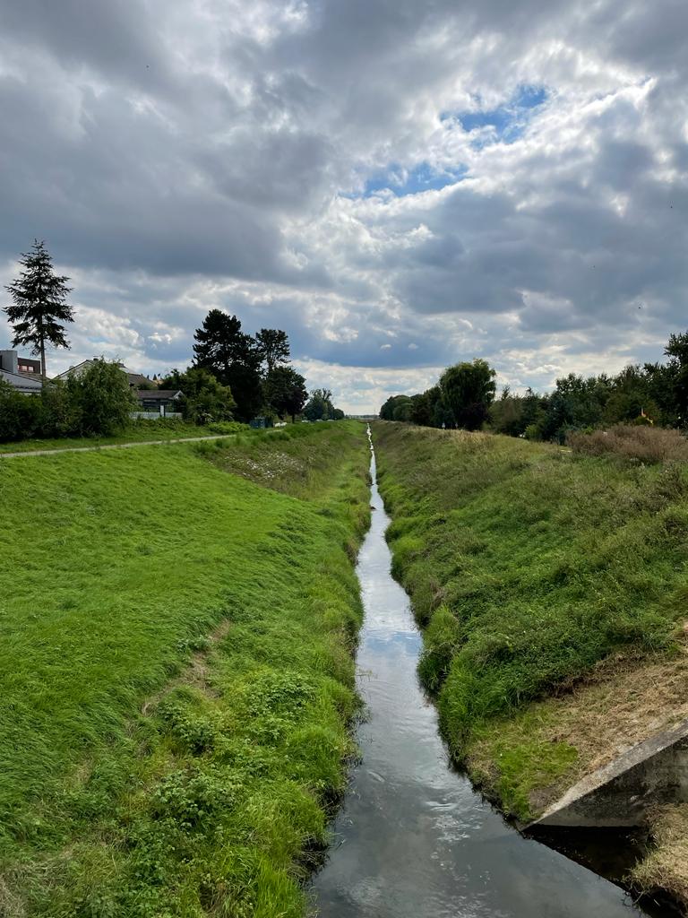 Wasser im Hessischen Ried