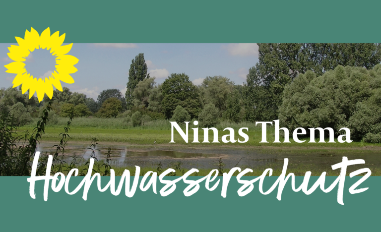 Ninas Thema im Wahlkreis: Hochwasserschutz