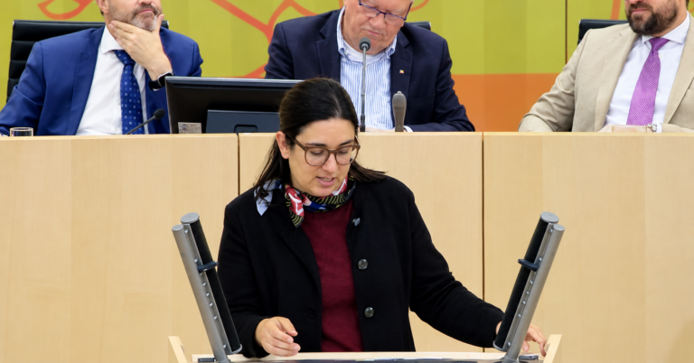 Rede zu: Gesetz zur Änderung des Hessischen Hochschulgesetzes